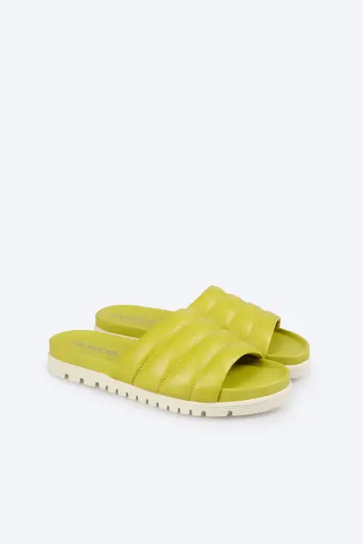Artikelbild des Artikels “SUNNYS N°91 “
