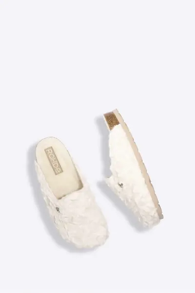 Artikelbild des Artikels “SUNNYS N°15 “